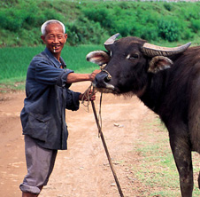 小型飼料顆粒機(jī),農(nóng)民圓夢！